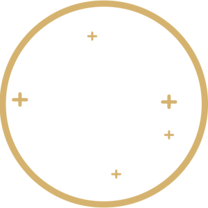 Expertly Curated Models