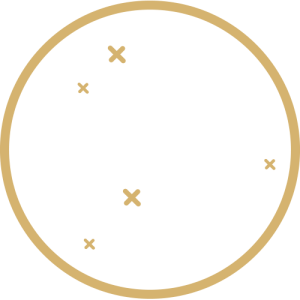 Extensive Collection